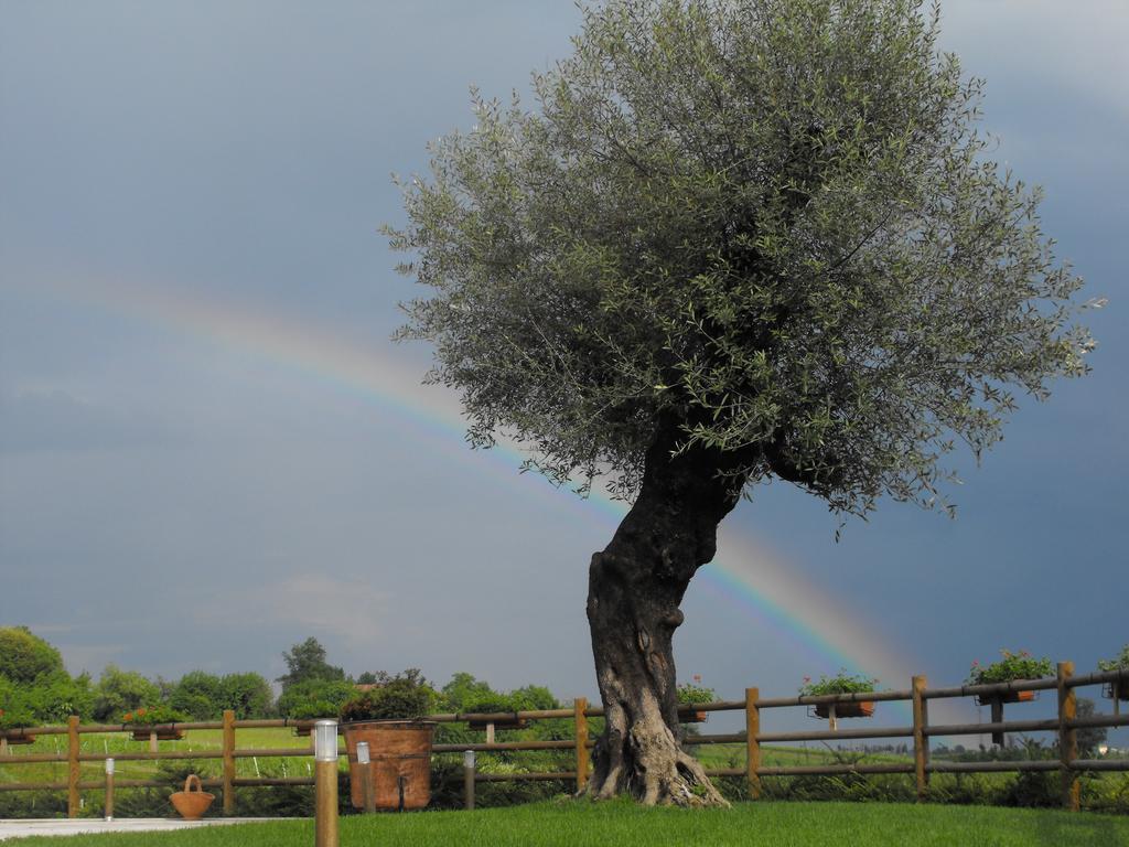 Agriturismo Althea Vittorio Veneto Extérieur photo
