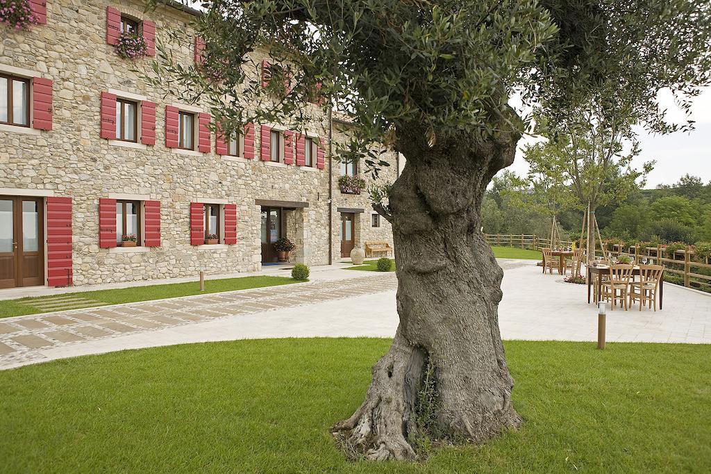 Agriturismo Althea Vittorio Veneto Extérieur photo